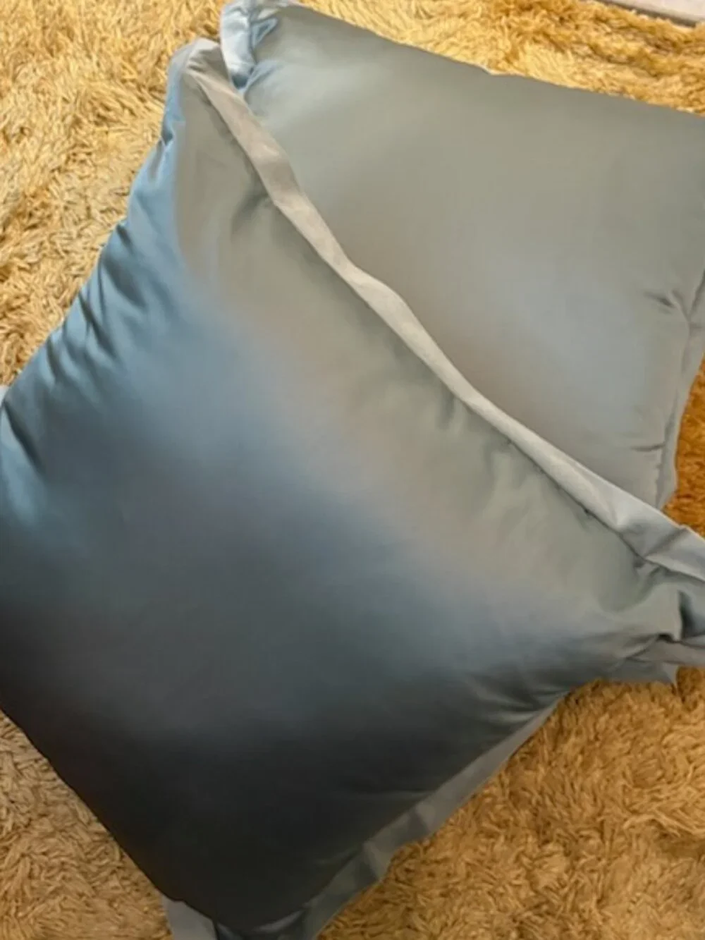 (2) Silk Pillows for Living Room or Bedroom
